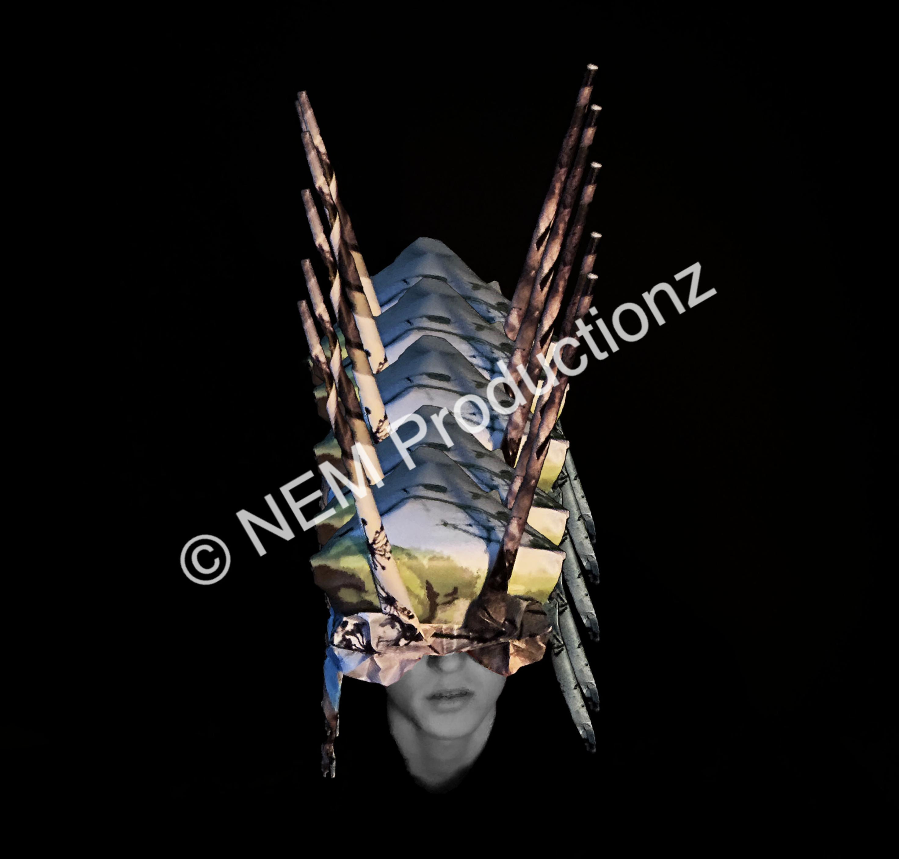 Helmet-bug Print