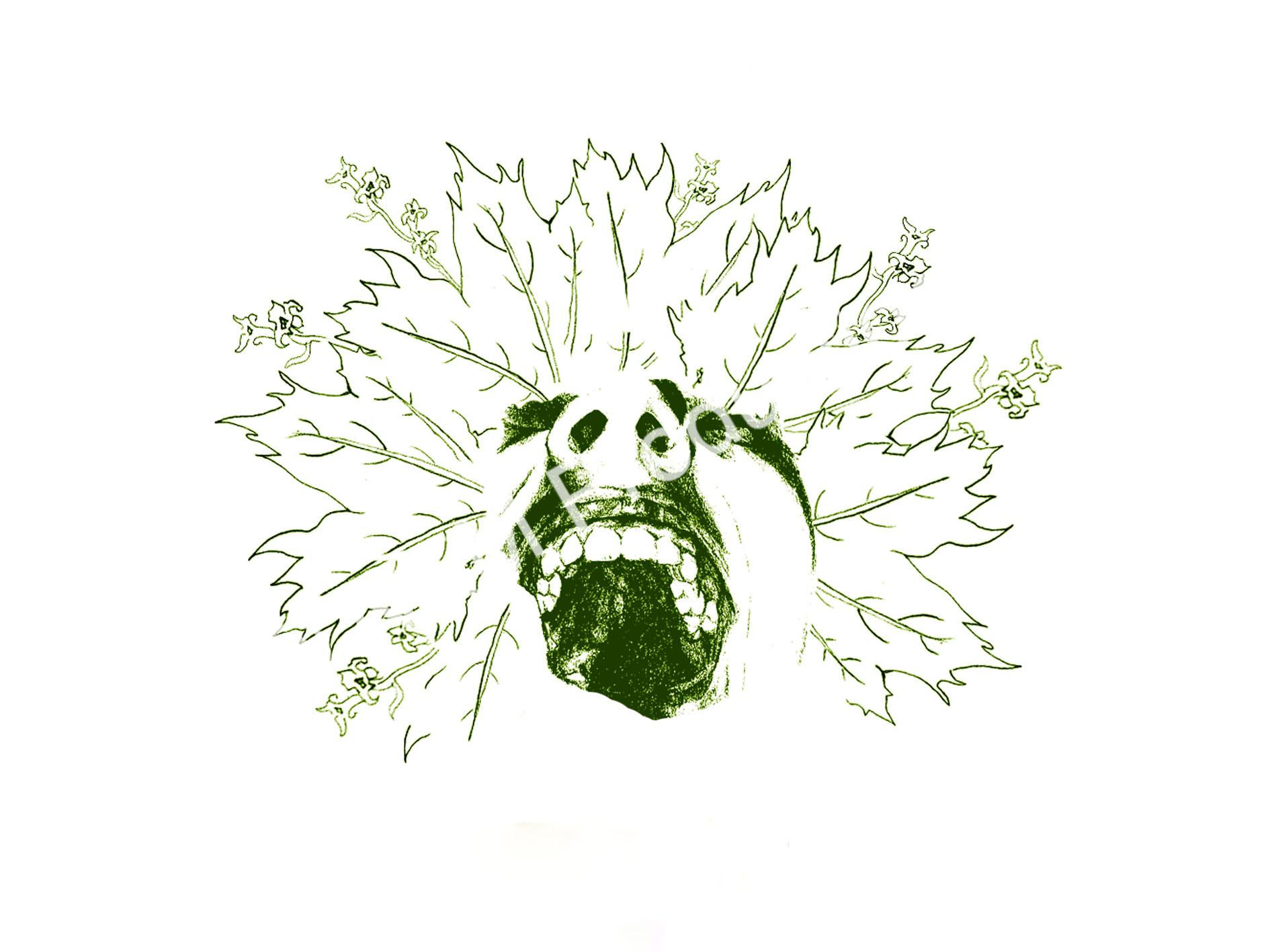 'Blossom' Print