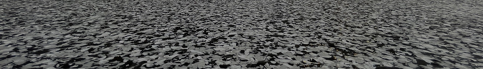 Flake-Floor-3_4_edited.jpg
