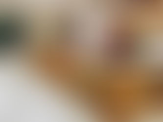 Kookaburra in Nocatee