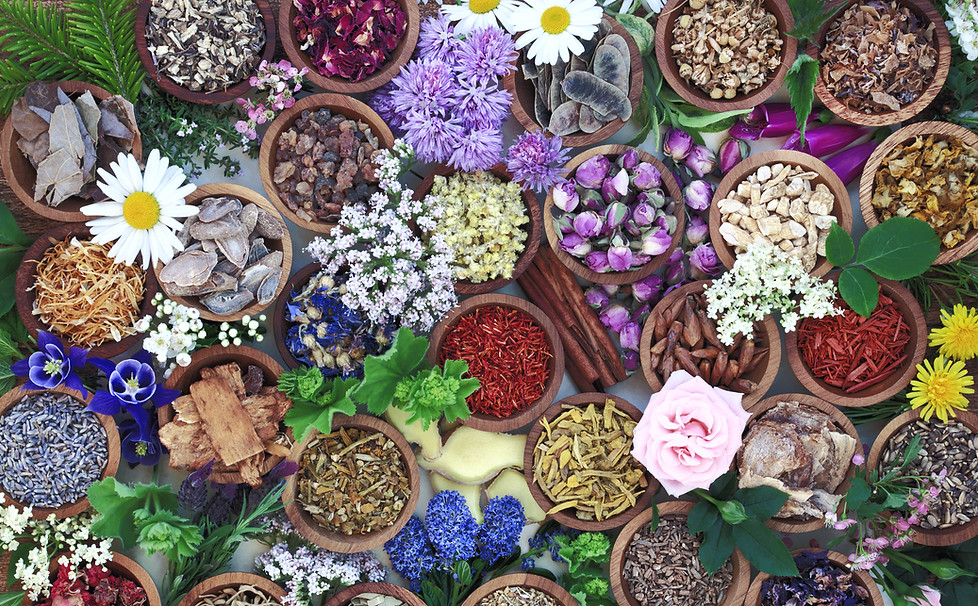 Herbal medicine with herbs and flowers u