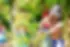 Cultivateur_Madagascar_Manakara_2025-09-08_0009.webp