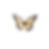 realistic butterfly in flight with muted tones_edited.png