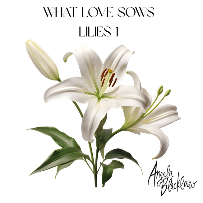 Lilies 1 What Love Sows-3.png