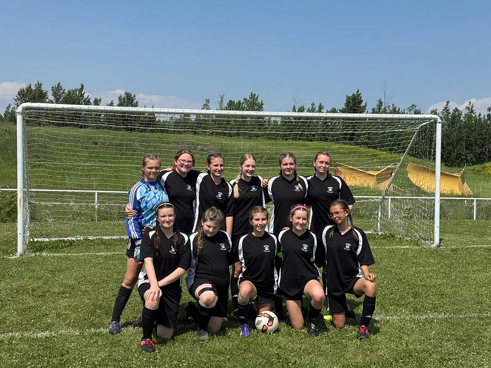 u15.jpg
