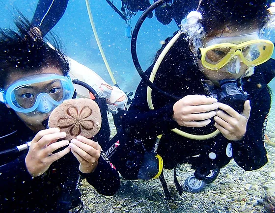 神津島 体験ダイビング 南国 Discover Scuba Diving Kozu Island 神津島 体験ダイビング 南国 Discover Scuba Diving Kozu Island