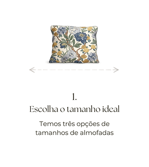 etapa 1.1.png