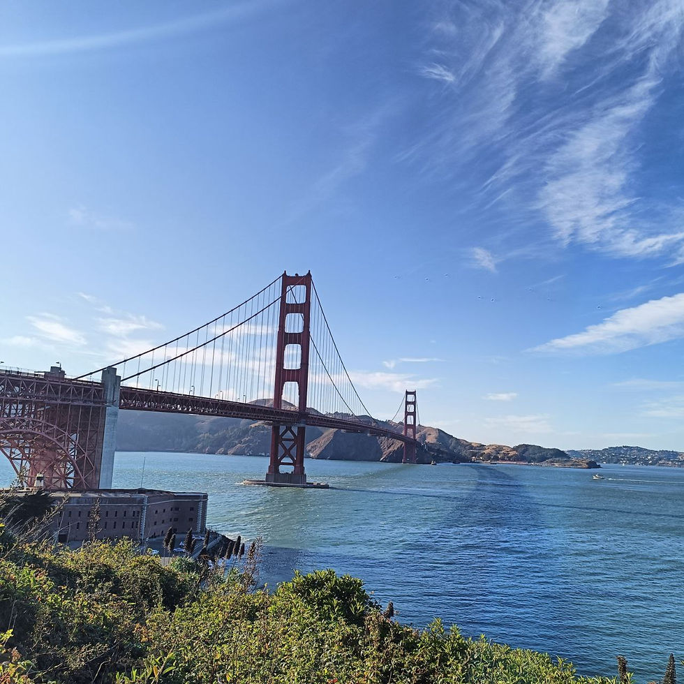 SF: A DISTOPIA IN ITS PURE FORM