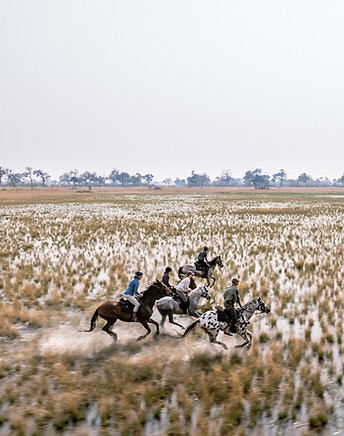 Four people riding horses through shallow water and tall grass in the Okavango Delta, Botswana, under a hazy sky. The riders are moving quickly across the wetland landscape, with trees visible in the distant background. This image captures an adventurous horse riding safari in an African wilderness.