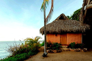 outdoor_edited.jpg