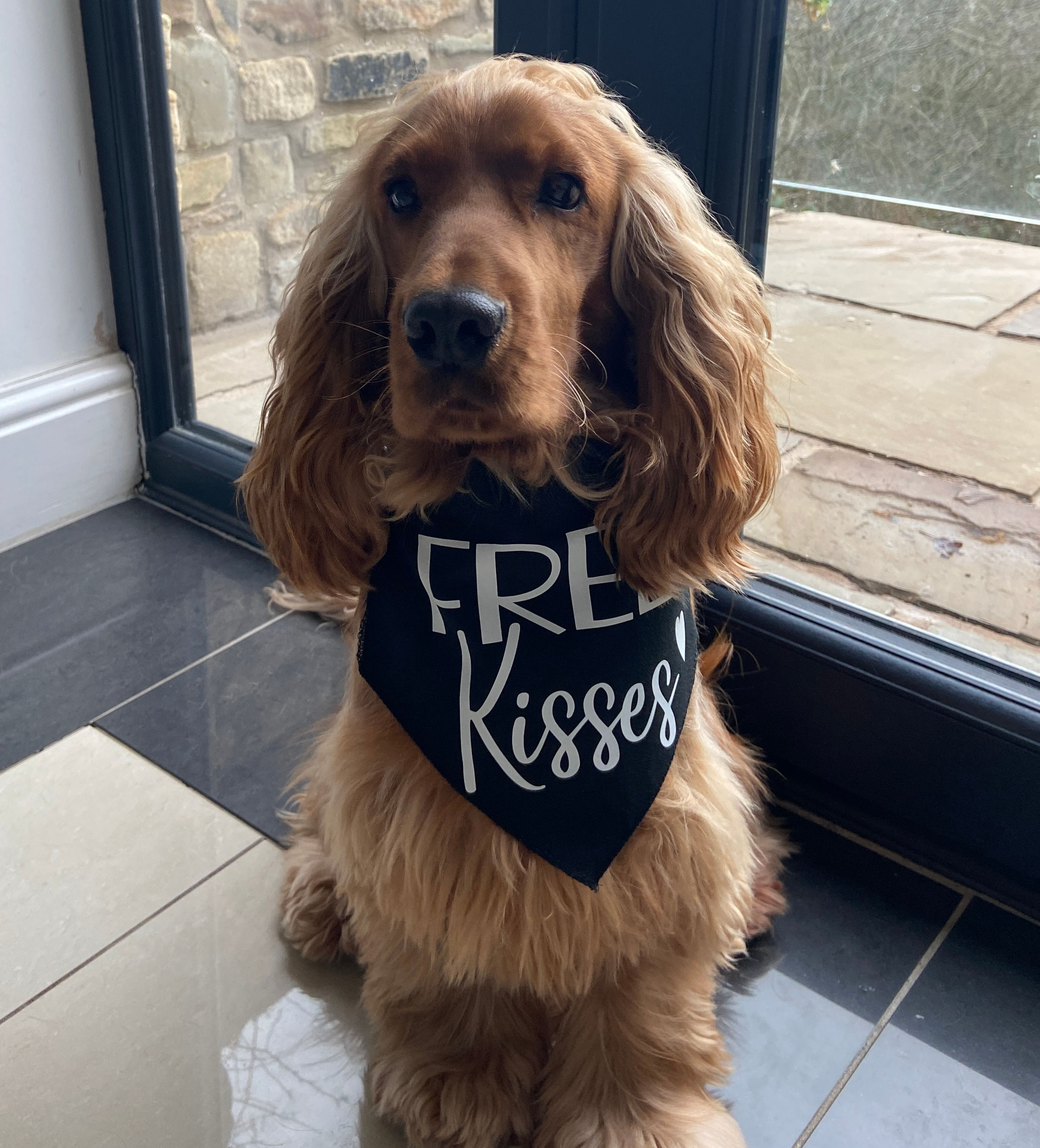 Free Kisses Doggy Bandanna & Words
