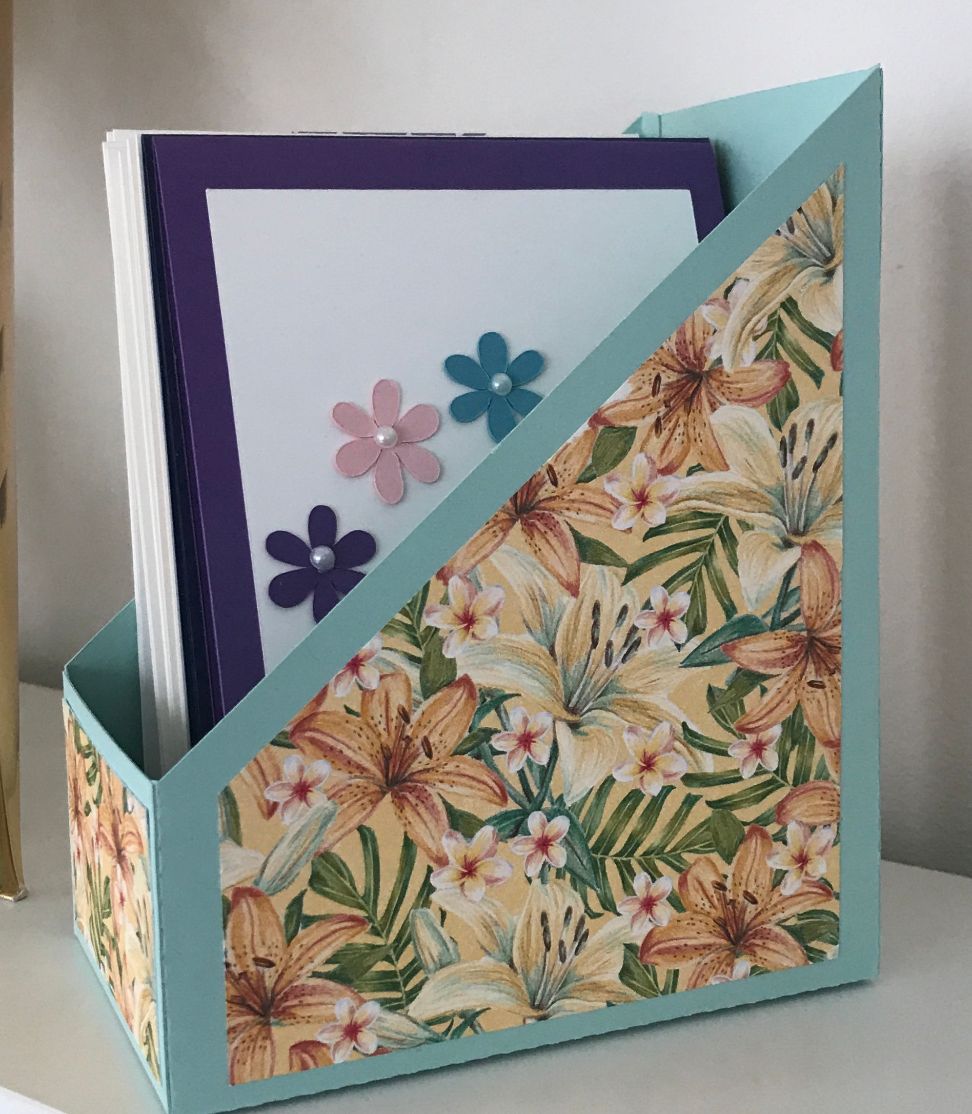 Mini File Folder Storage