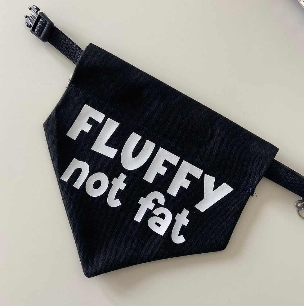Thumbnail: Fluffy Not Fat
