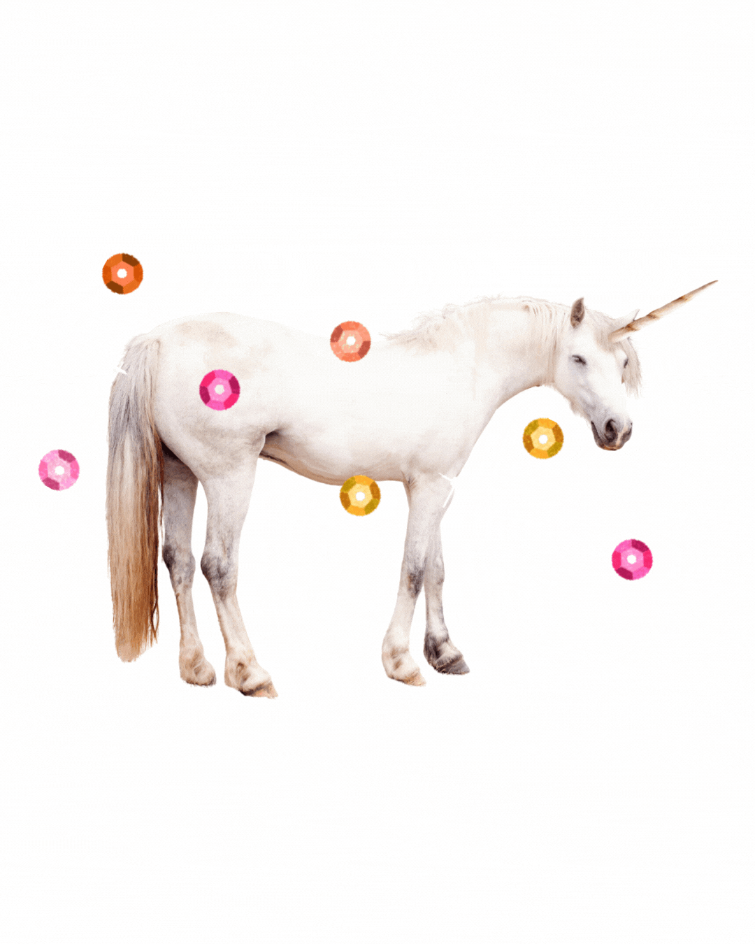 unicorn2.gif