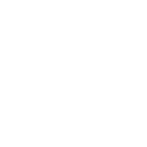 Vision