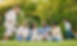 Screenshot 2024-11-12 100455.png