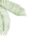 Leaves Background Image