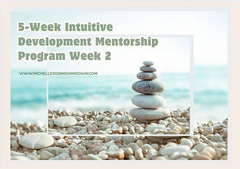 Intuitive Student Resources - Week Plan