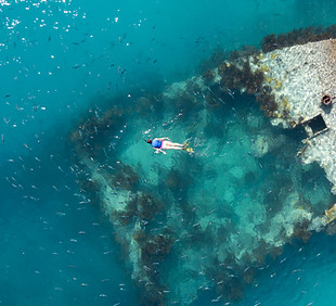 snorkel.jpeg