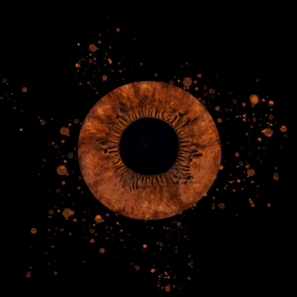 shooting iris bébé Bailly Photographie