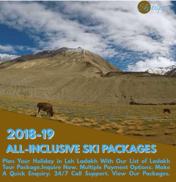 ezgif.com-video-to-gif (2).gif