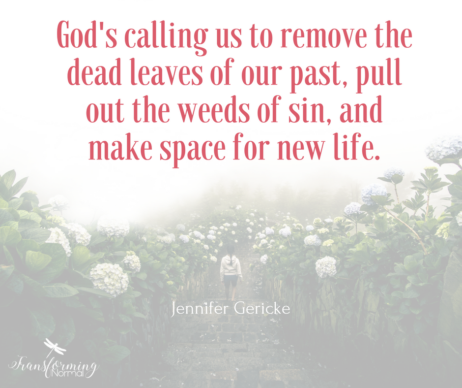 Space for New Life