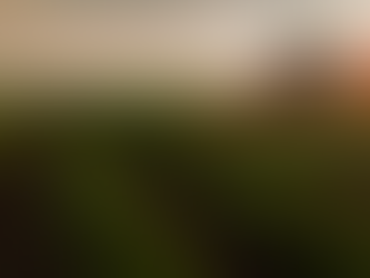 The Ultimate Guide to Find the Best Farming Company in Ireland