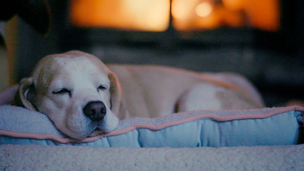 Still 2026-01-29 065555_1.212.1.jpg