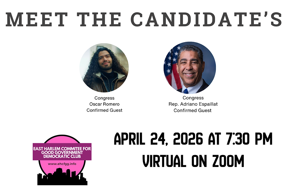 Part 2: Meet the NY-13 Candidates