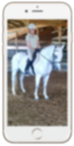 horseiphone5-152x300.png