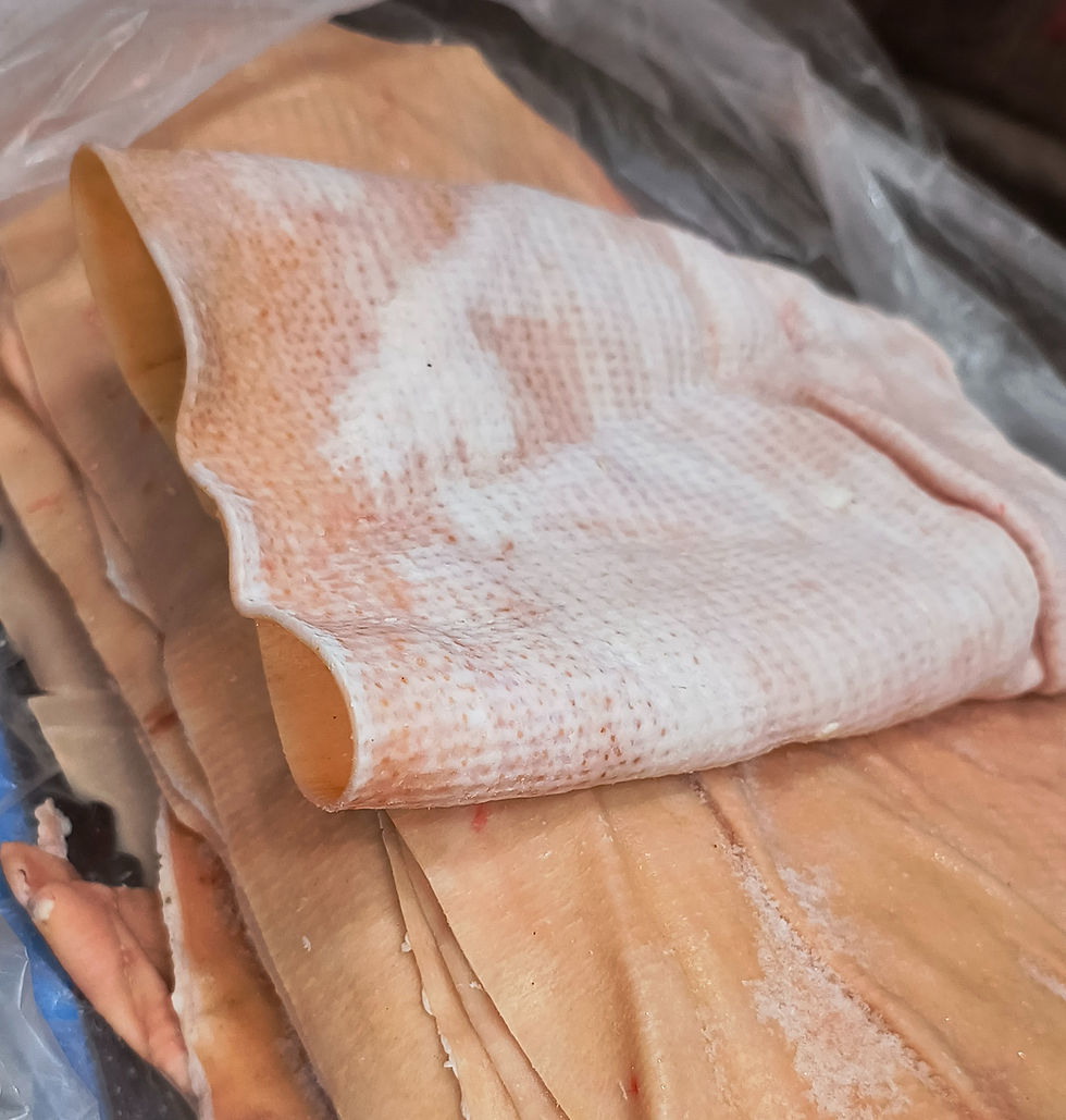 Cuero papel