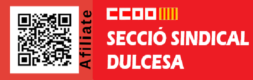 logo seccion ccoo 3.png
