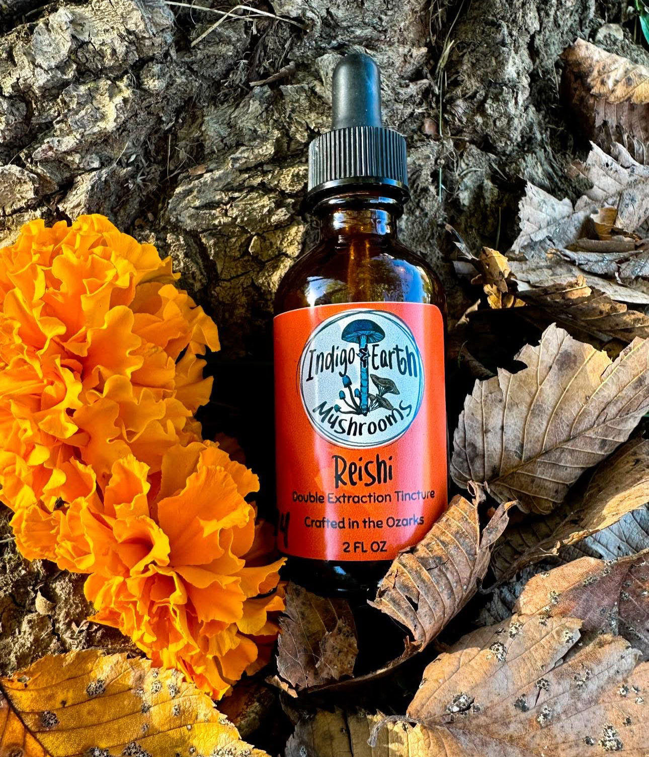 Reishi Dual Extract 2 oz Tincture