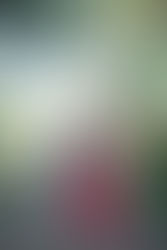 Chris + Lisa // Engaged