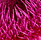 Audacieux Legal & Consulting - Waratah Logo