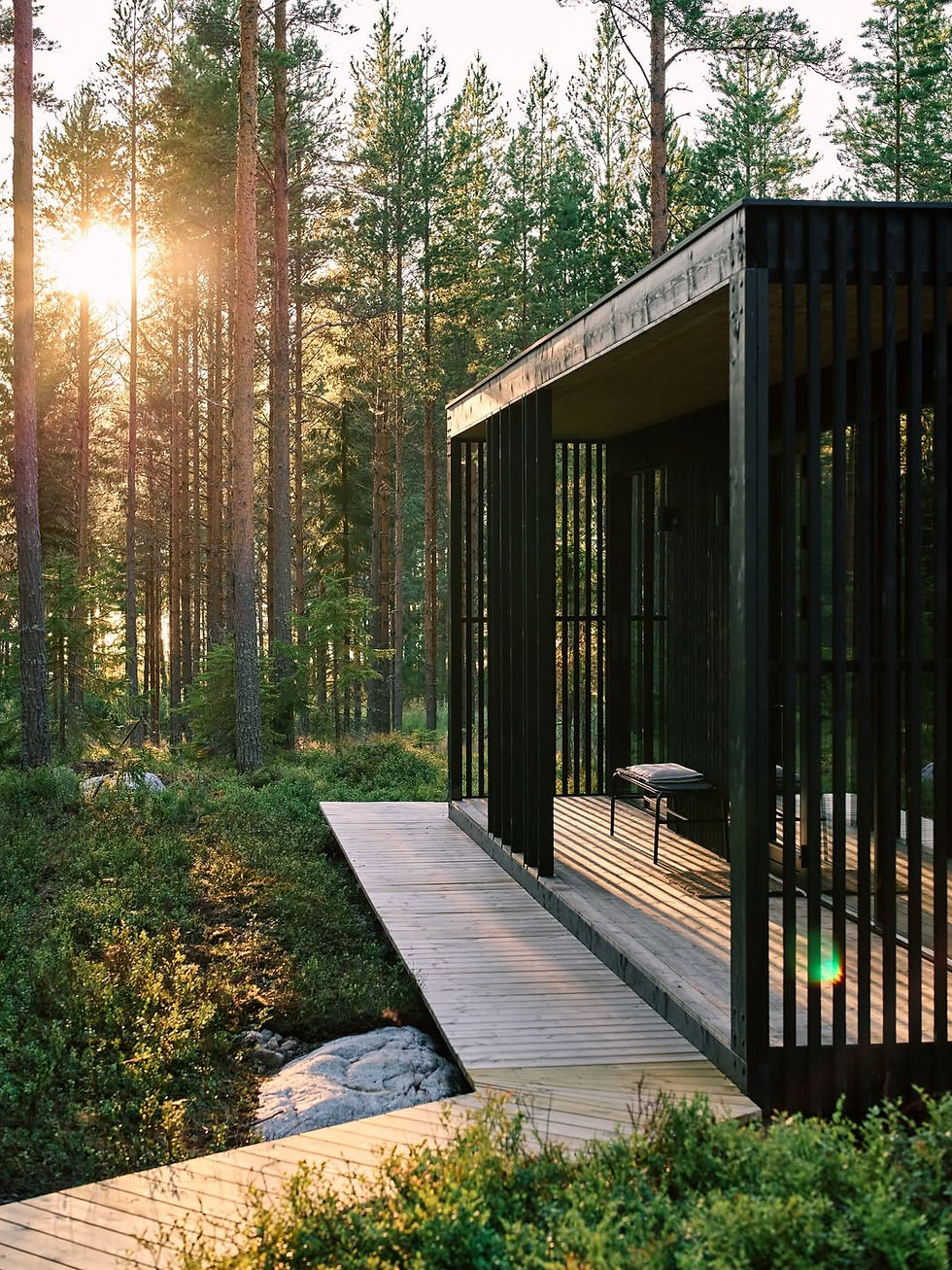 forest%20cabin%20sweden%2023.jpeg