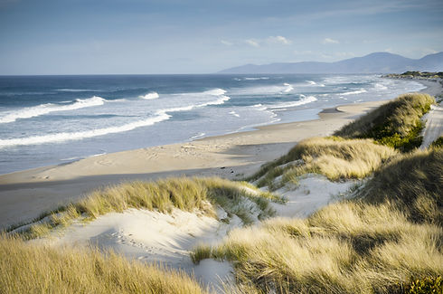 sandDunes.jpeg
