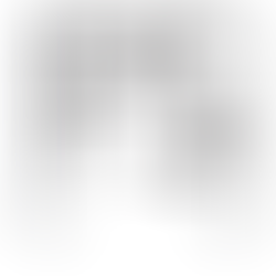 Fountain Street- Sidewalk Video Gallery