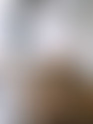 政策導向下的外燴產業升級:打造全方位餐飲新模式之路