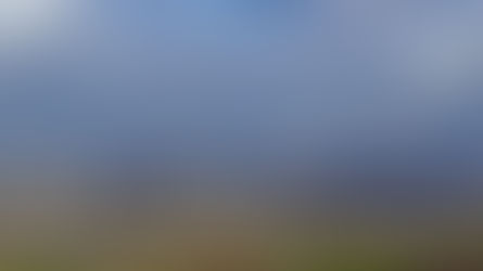 Peers for the Planet proposal for a special inquiry on the Net Zero Roadmap