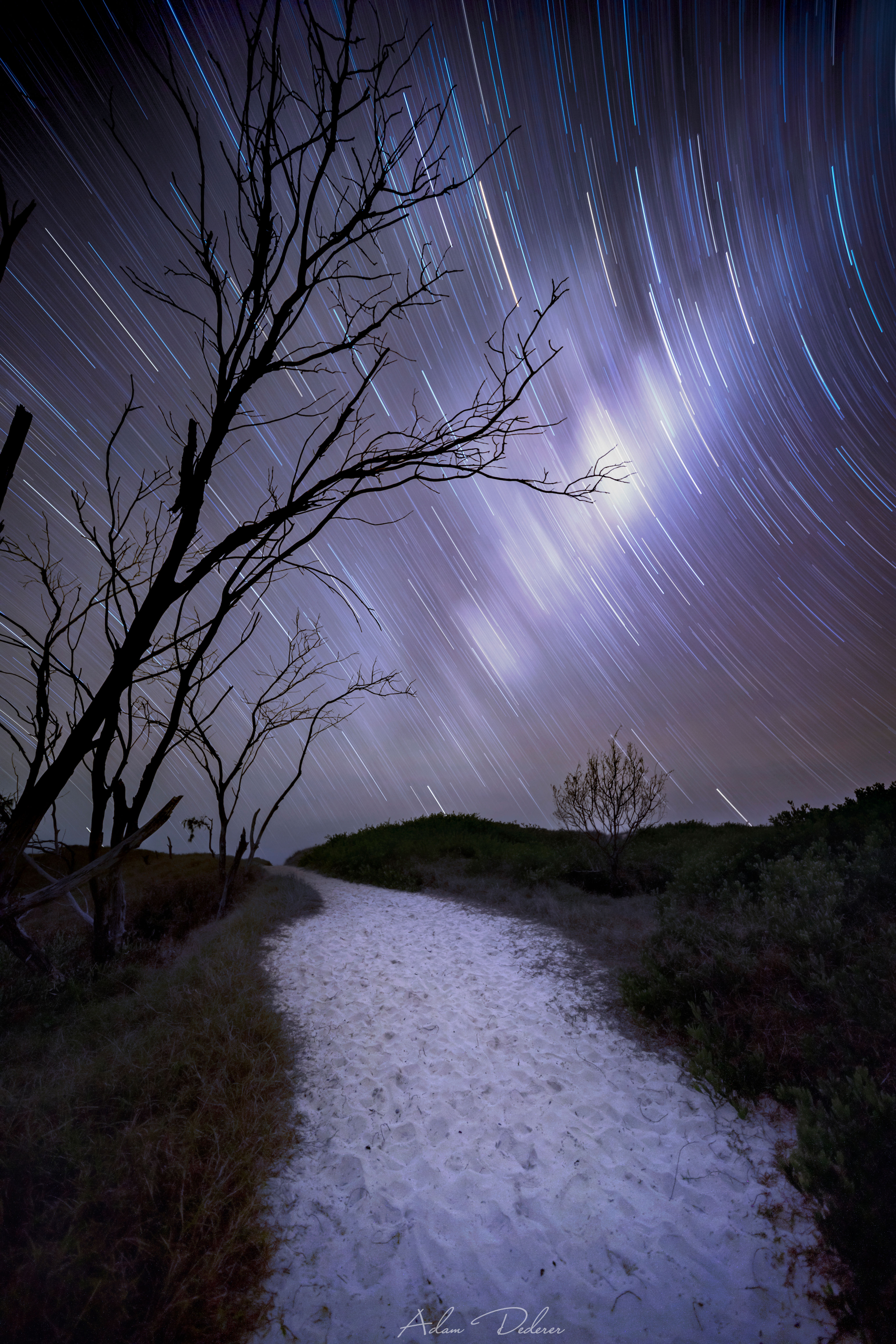 Star Trails at Stuarts Point