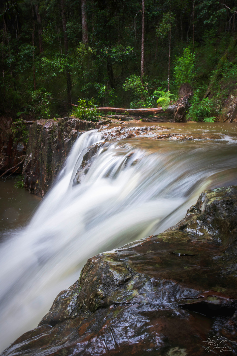 CQ0A7059-Enhanced-NR copy