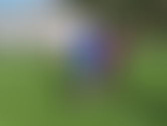 Ems 1 gelingt mit kollektiver Willensleistung einen ersehnten Sieg gegen Schaan