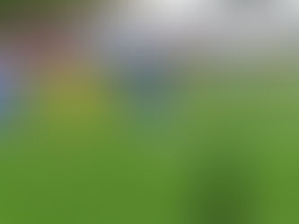 Ems 1 setzt sich gegen Appenzell klar durch