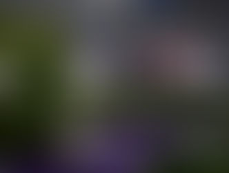 INDYCAR: KIRKWOOD RETURNS TO VICTORY ON THE STREETS OF LONG BEACH