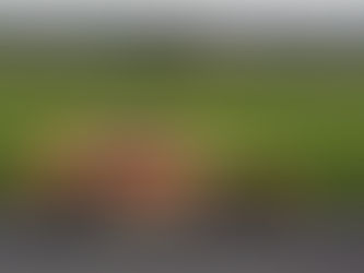 NASCAR: È TRIS PER DANNY HAMLIN A POCONO
