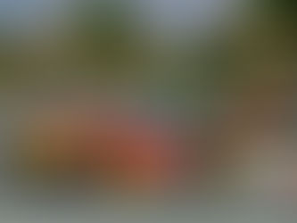 INDYCAR: È DI NUOVO PALOU, LA SPUNTA SULLE MCLAREN AL THERMAL CLUB