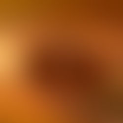 F1 SHAKEDOWN: PIÙ DATI SPARSI CHE VERDETTI