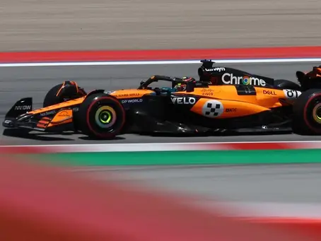 THE MCL39'S LESSON IN ADAPTABILITY