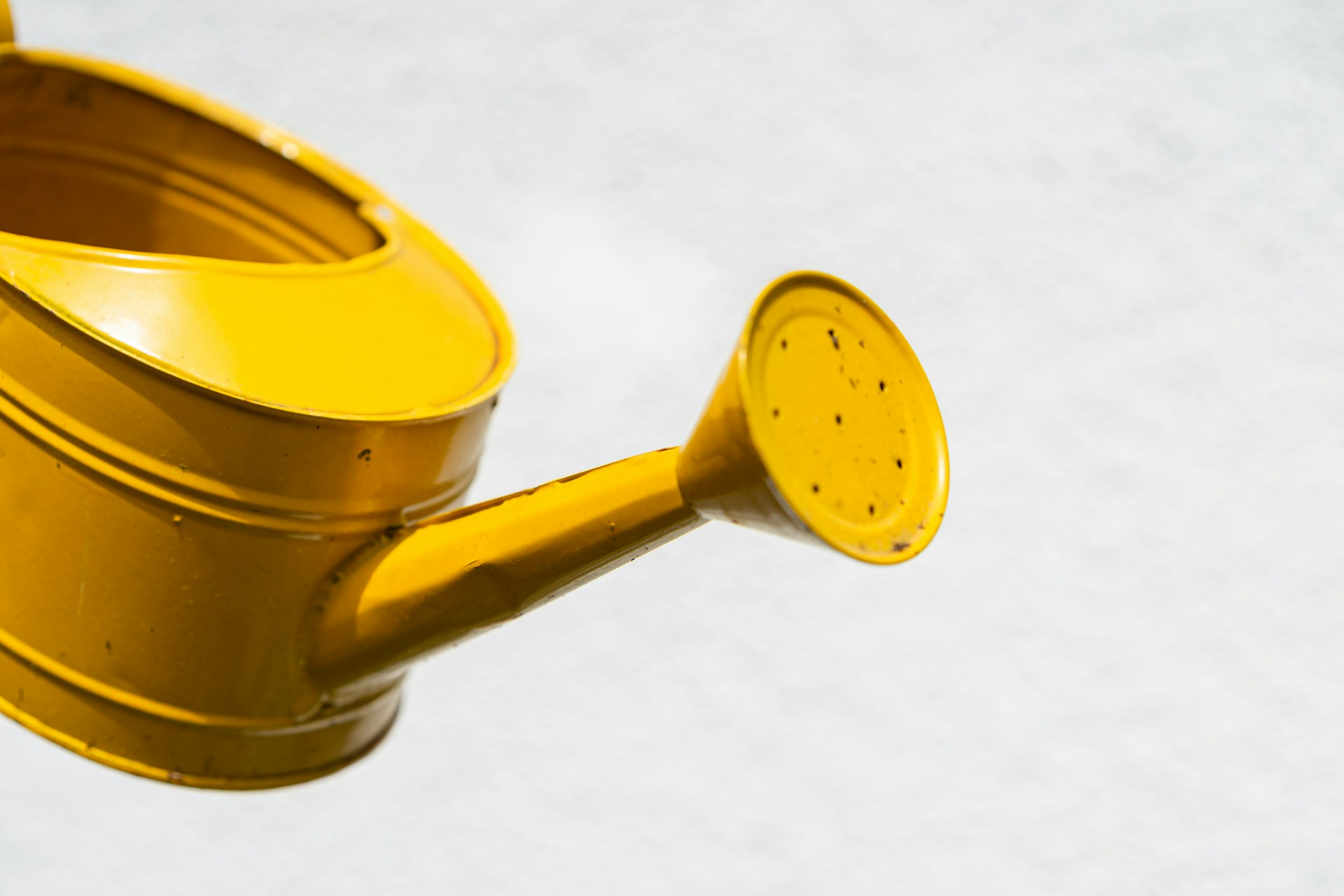 unsplash_ypOsSfRgKZ4_watering can.jpg